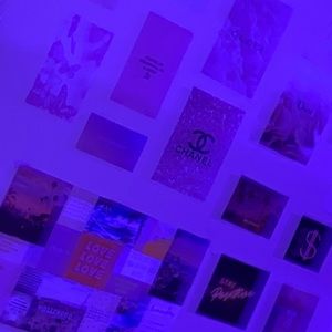 Meet your Posher, Ella